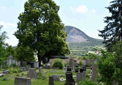 Želenice, Omnium, 2018