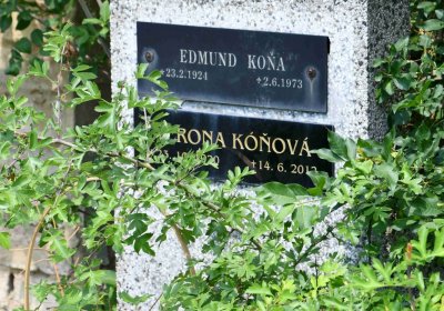 Želenice, Omnium, 2018