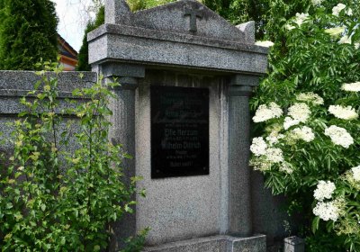 Želenice, Omnium, 2018