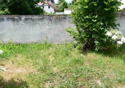 Želenice, Omnium, 2018