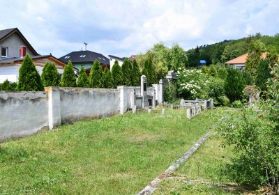 Želenice, Omnium, 2018