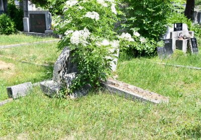 Želenice, Omnium, 2018