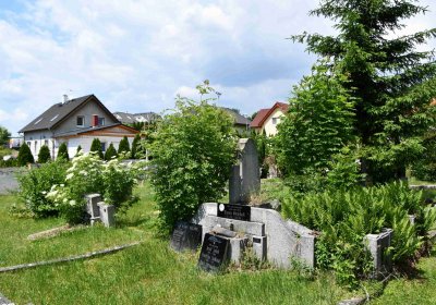 Želenice, Omnium, 2018