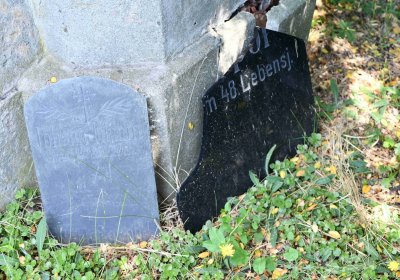 Želenice, Omnium, 2018