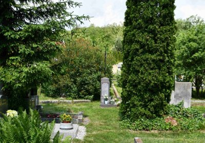 Želenice, Omnium, 2018