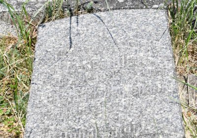 Želenice, Omnium, 2018