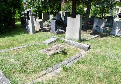 Želenice, Omnium, 2018