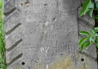 Želenice, Omnium, 2018