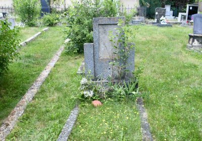 Želenice, Omnium, 2018