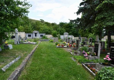 Želenice, Omnium, 2018