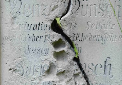 Želenice, Omnium, 2018