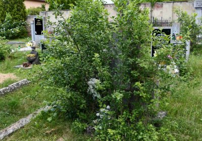 Želenice, Omnium, 2018