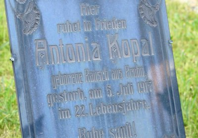 Želenice, Omnium, 2018