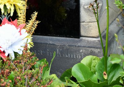 Želenice, Omnium, 2018