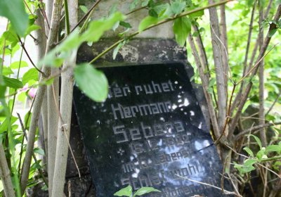 Želenice, Omnium, 2018