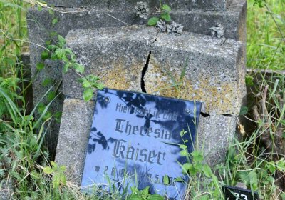 Želenice, Omnium, 2018