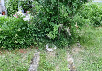 Želenice, Omnium, 2018