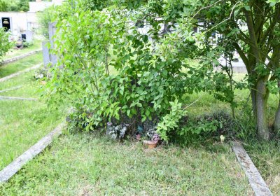 Želenice, Omnium, 2018