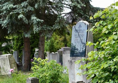 Želenice, Omnium, 2018