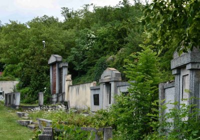 Želenice, Omnium, 2018