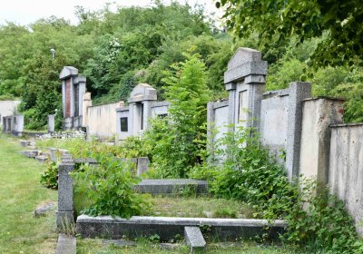 Želenice, Omnium, 2018