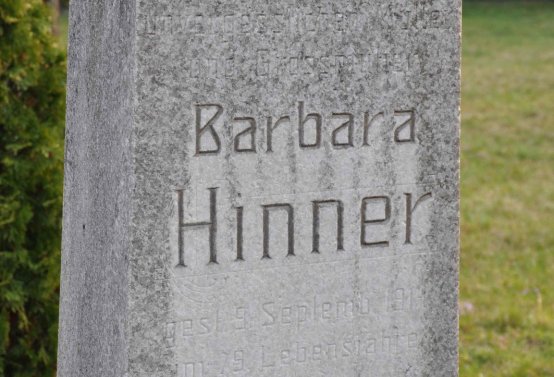 Omnium, 2019
