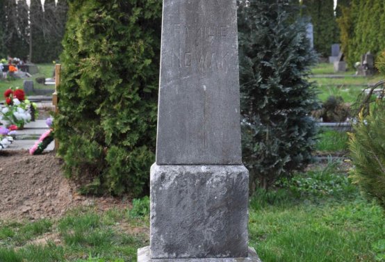 Omnium, 2019