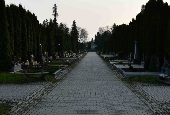 Omnium, 2019