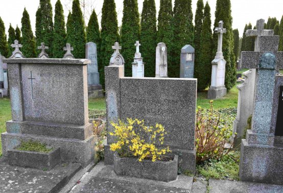 Omnium, 2019