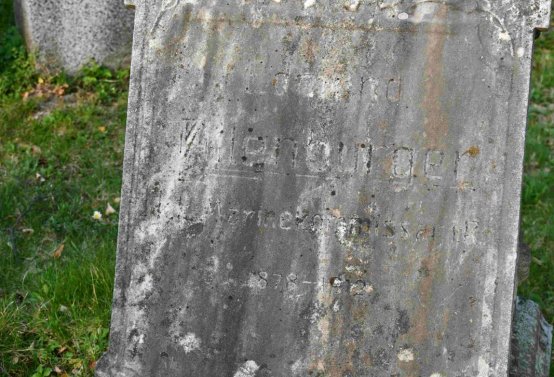 Omnium, 2019