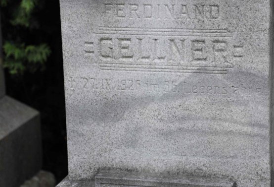 Omnium, 2019