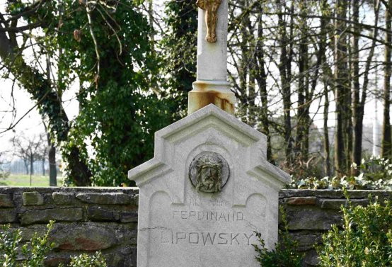Omnium, 2019