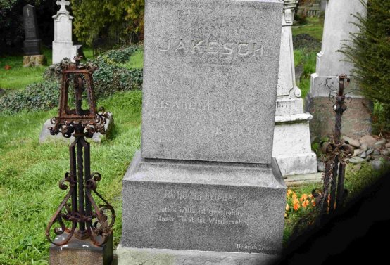 Omnium, 2019