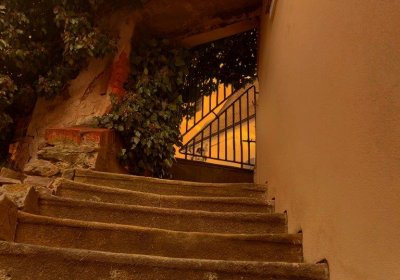 Korčák Rudolf, 2020