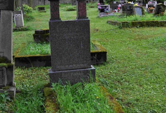 Omnium, 2016