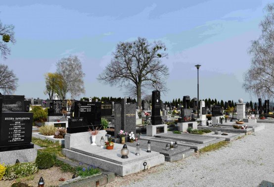 Omnium, 2019