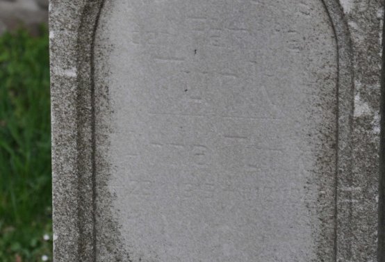Omnium, 2019