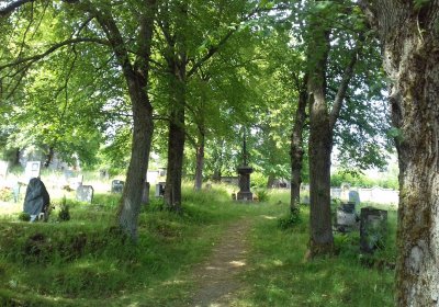 Kmínek Michal, 2019