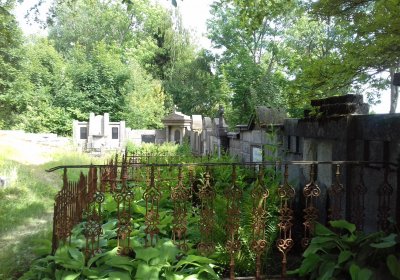 Kmínek Michal, 2019