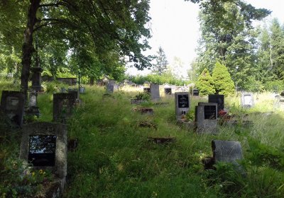 Kmínek Michal, 2019