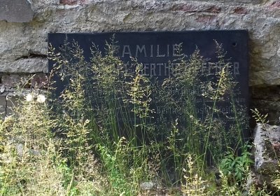 Kmínek Michal, 2019