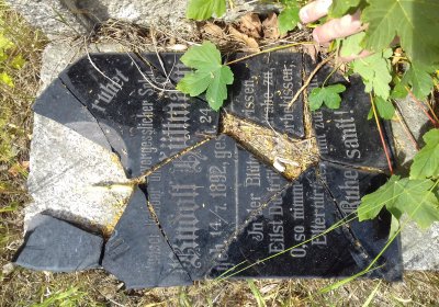 Kmínek Michal, 2019