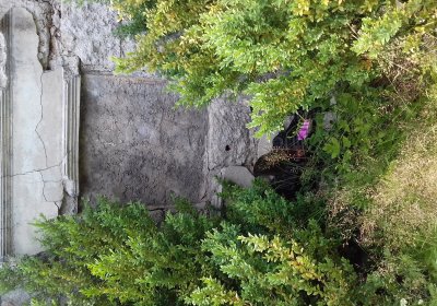 Kmínek Michal, 2019