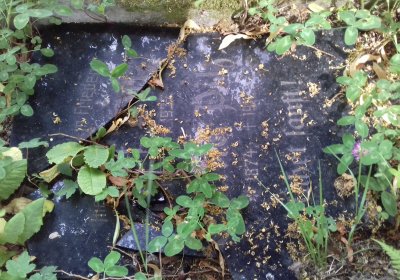 Kmínek Michal, 2019