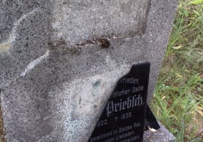 Kmínek Michal, 2019