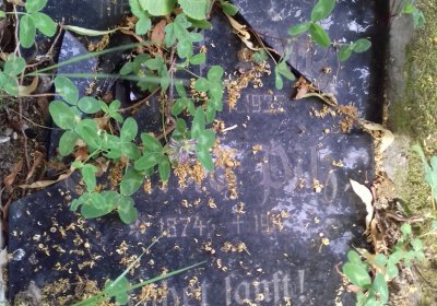 Kmínek Michal, 2019