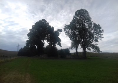 Kmínek Michal, 2019