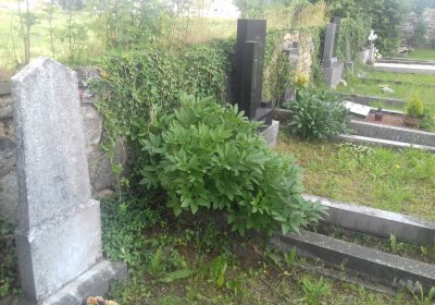 Kmínek Michal, 2019