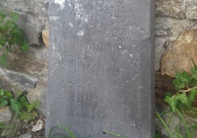 Kmínek Michal, 2019