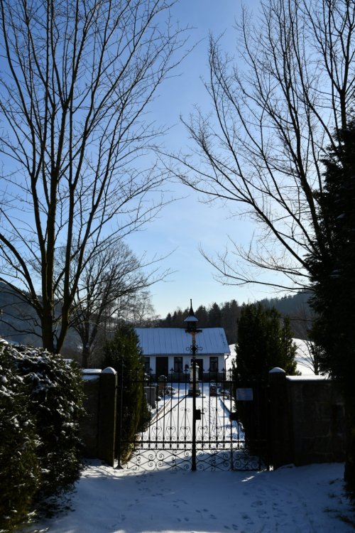 Jiřetín pod Bukovou